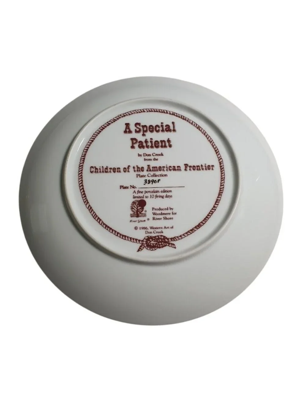 A Special Patient Don Crook Plate Children American Frontier 1986 River Shore